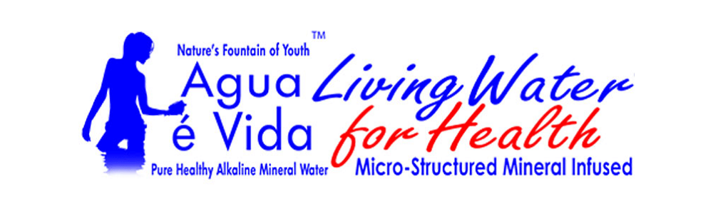Agua é Vida (Willow Way) main banner image