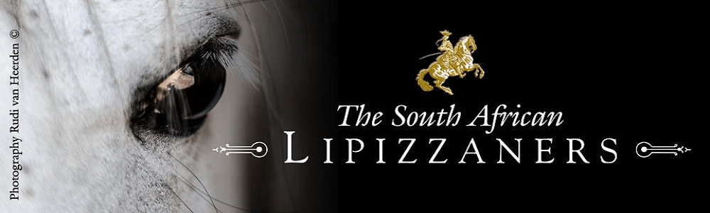 The South African Lipizzaners main banner image