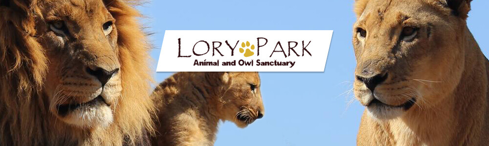 Lory Park Animal and Owl Sanctuary main banner image