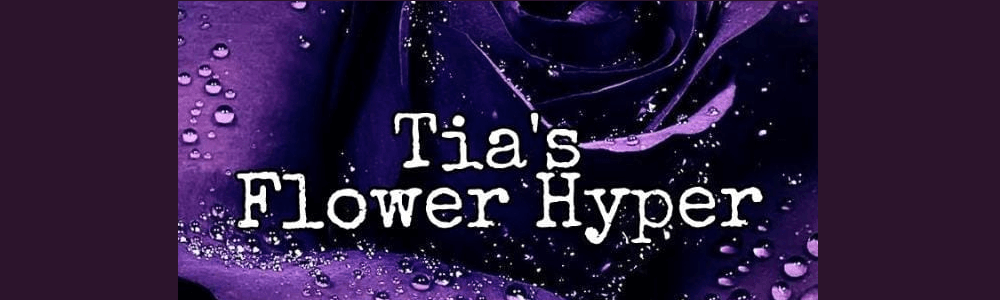 Tia's Flower Hyper (Montana Value Centre) main banner image