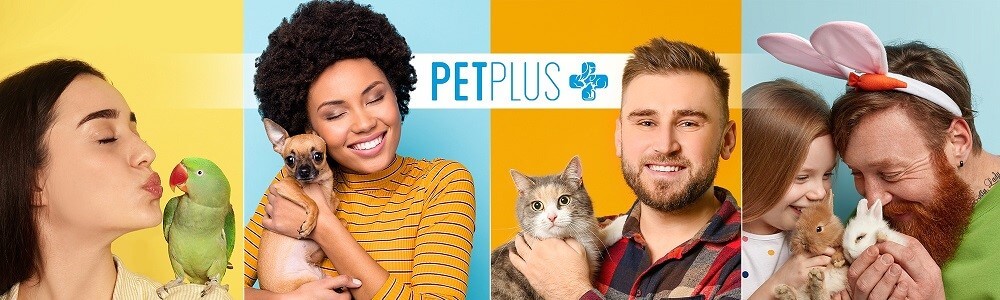 Pet Plus Simon's Town (Harbour Bay) main banner image