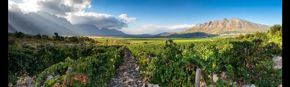 Slanghoek Cellar Rawsonville main banner image