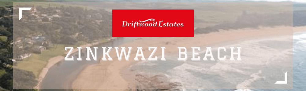Driftwood Estates - Zinkwazi Beach main banner image