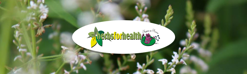 Karen se Kruie - Herbs for Health main banner image