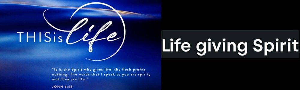 ThisIsLife Network South Africa main banner image