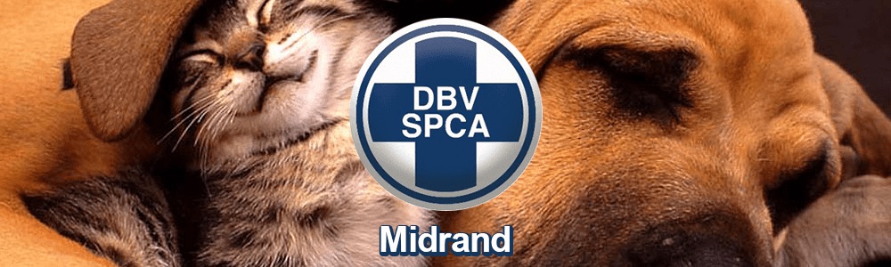 SPCA Midrand main banner image