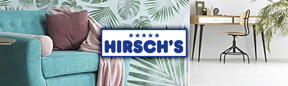 Hirsch's Centurion Business Networking main banner image