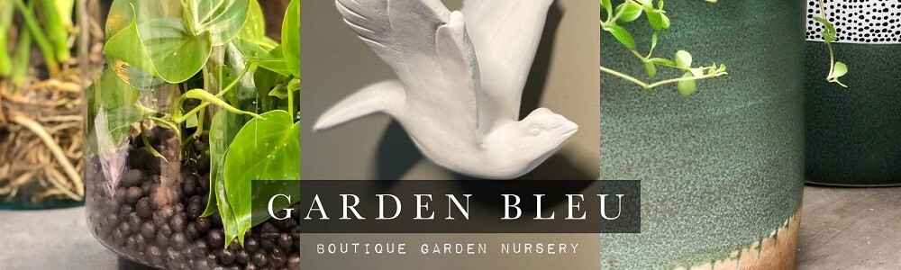 Garden Bleu Waterkloof main banner image