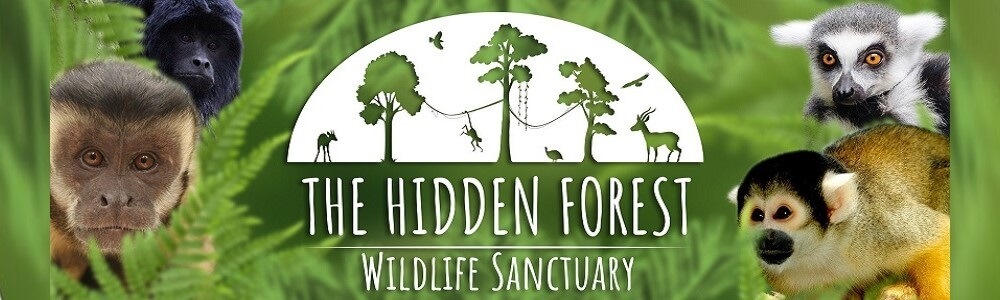 The Hidden Forest Wildlife Sanctuary main banner image