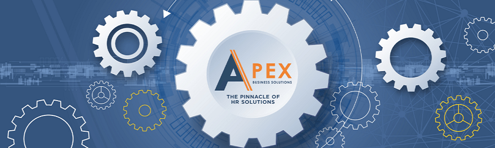 APEX Business Solutions Pretoria main banner image
