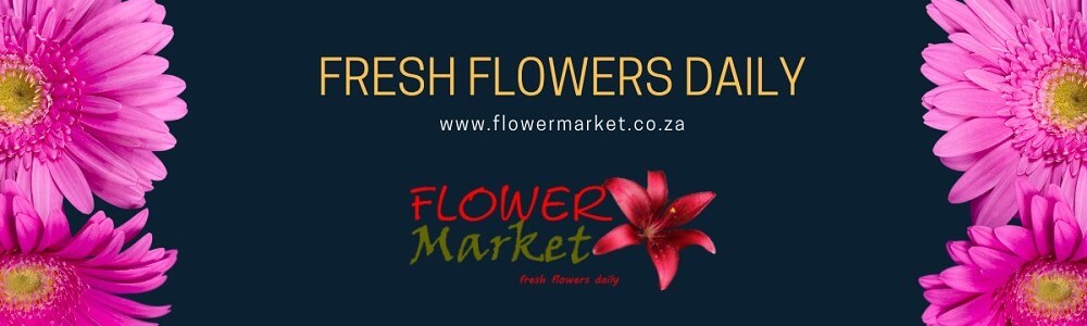 Flower Market Nelspruit - Mbombela main banner image