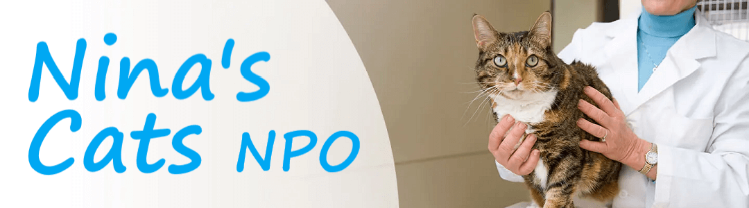 Nina's Cats - NPO banner
