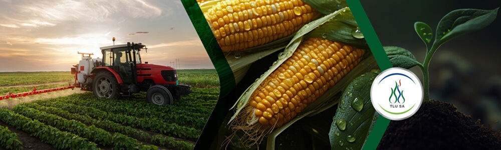 TLU SA (Transvaalse Landbou Unie) banner