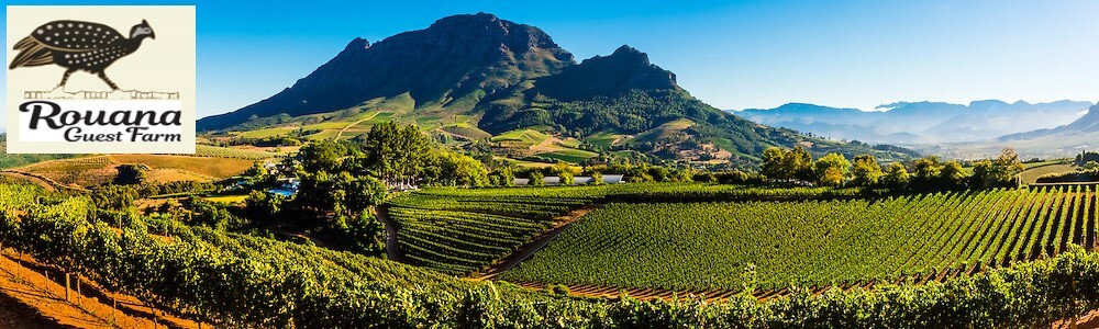 Rouana Guest Farm - Stellenbosch banner
