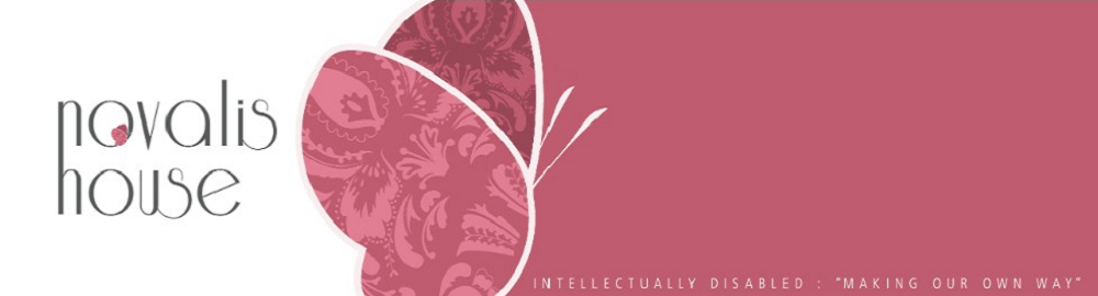 Novalis House Residence & Workshop banner