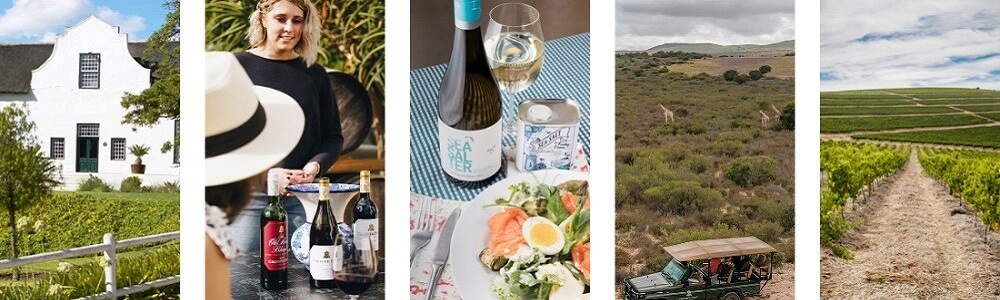 Groote Post Vineyards banner
