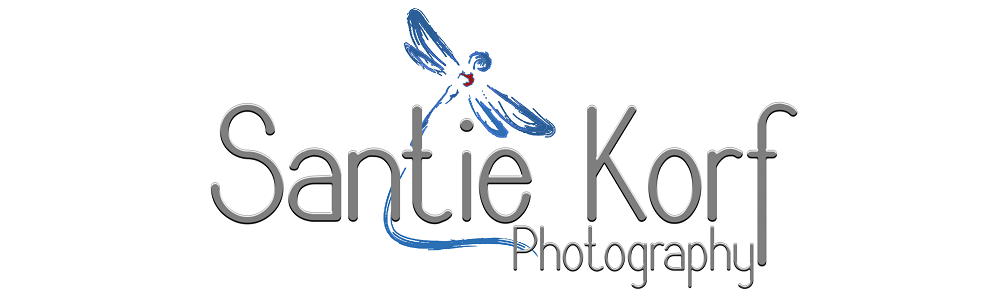 Santie Korf Photography Studio banner