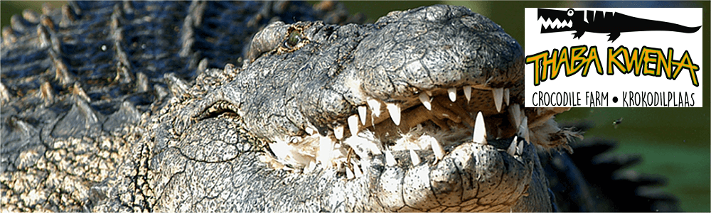 Thaba Kwena Crocodile Farm banner