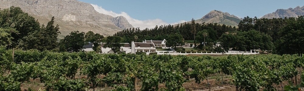 Doolhof Wine Estate banner