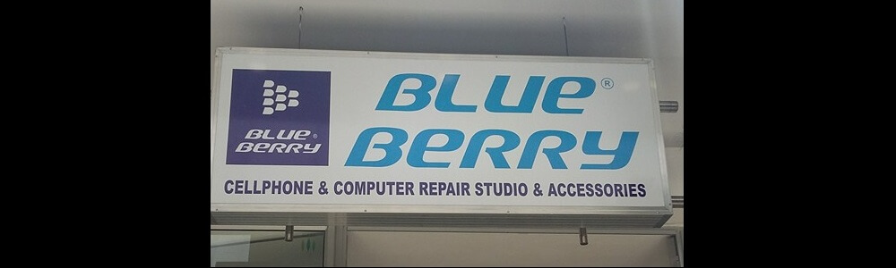 Blueberry Cellular (Scottburgh Mall) banner