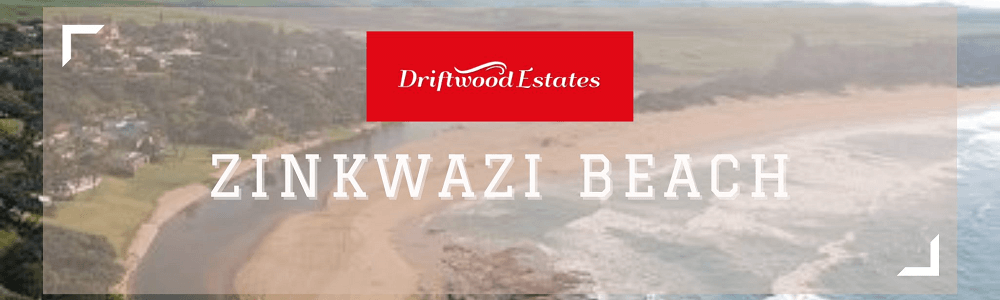 Driftwood Estates - Zinkwazi Beach banner