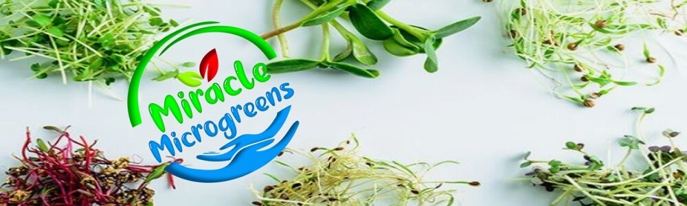 Miracle Microgreens Farm - Margate banner