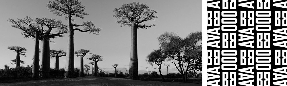 Baobab Galerie Port Edward (Mattison Square) banner