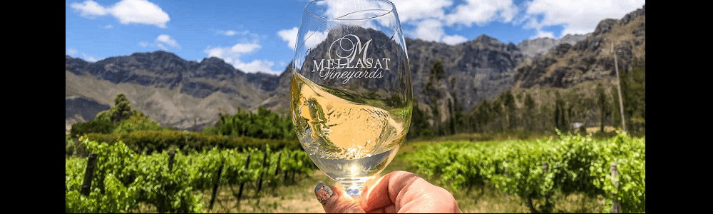Mellasat Vineyards banner