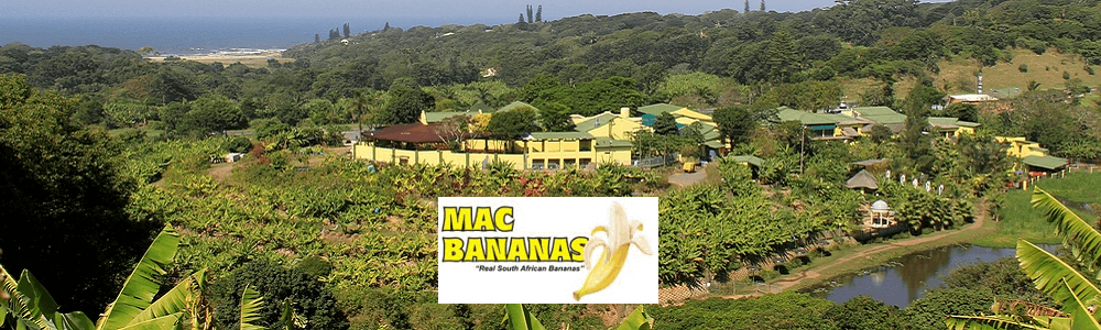 Mac Banana - Port Edward banner