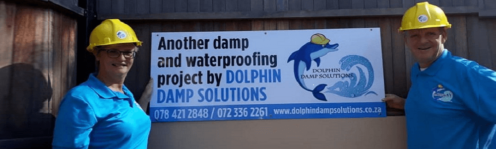 Dolphin Damp Solutions Ballito banner