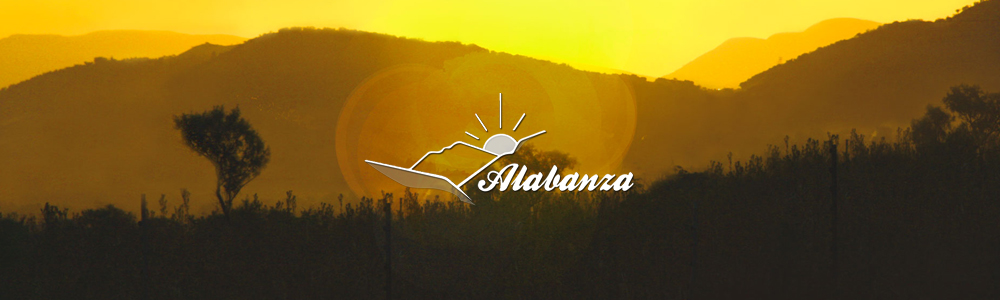 Alabanza banner