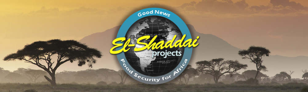 El Shaddai Projects International banner