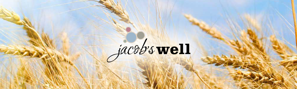 Jacob's Well banner
