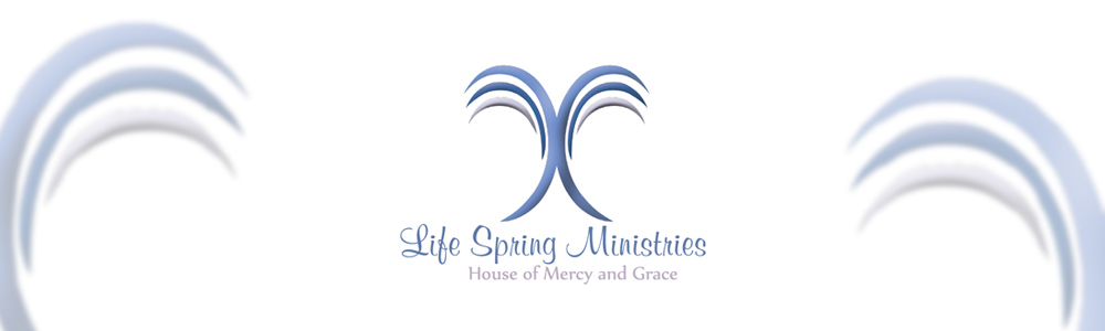 Life Spring Ministries banner