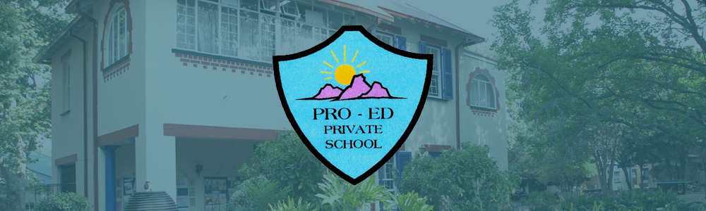 Pro-Ed Private School Pretoria banner