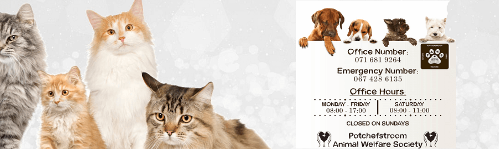 Potchefstroom Animal Welfare Society PAWS banner