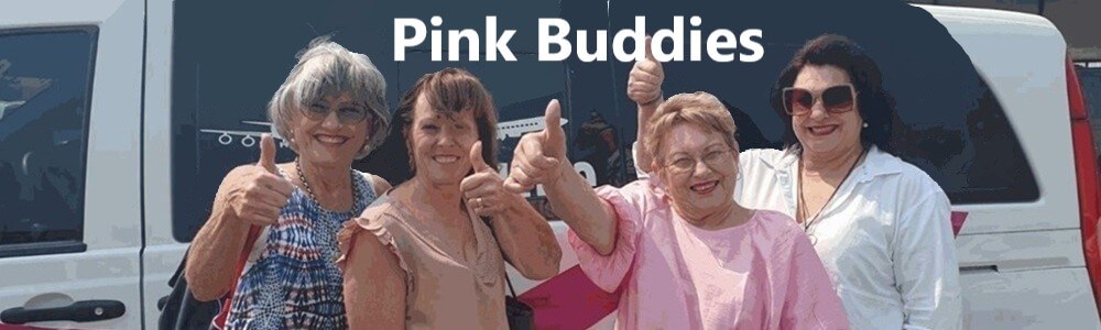 Pink Buddies banner