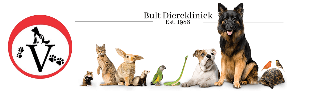 Bult Dierekliniek - Potchefstroom banner
