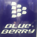 Blueberry Cellular (Scottburgh Mall)