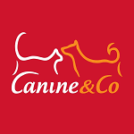 Canine & Co Waterfall (Waterfall Corner)