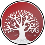 Lig & Lewe Sentrum Paarl (PPK)