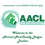 Animal Anti-Cruelty League, Durban