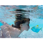 Willows Swim School